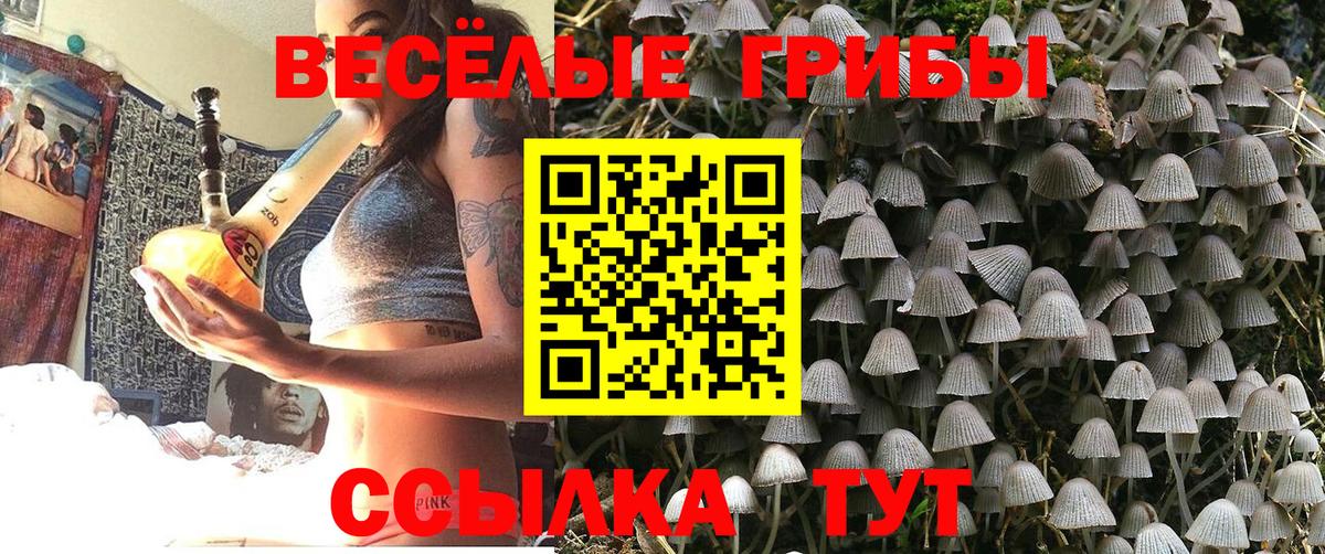 Галлюциногенные грибы Psilocybe  Псилоцибиновые грибы прущие грибы  Острогожск  Вход с VPN 